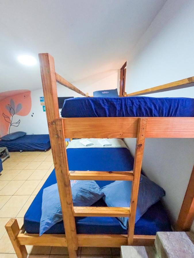 Aloha Hostelフォルタレザ エクステリア 写真